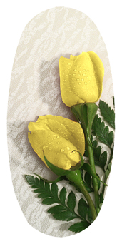 DASOV 059 2 Roses Yellow